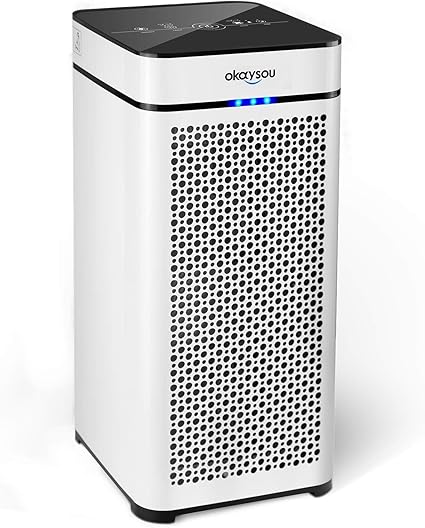 Okaysou Aircubo 8c Luftreiniger True Hepa Filter Amazon De Kuche Haushalt
