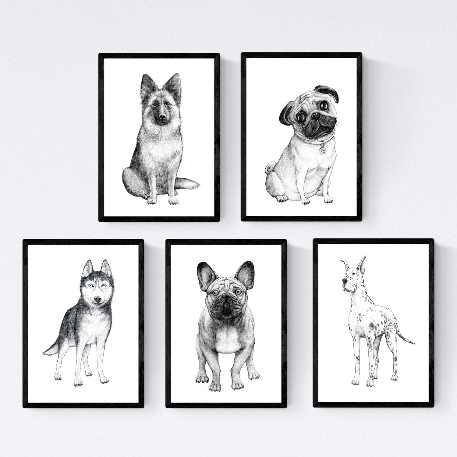 Nacnic Pack of Dogs posters race. Decorative plates dogs. A4 size