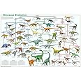 Dinosaur Evolution Educational Science Chart Poster 36 x 24in