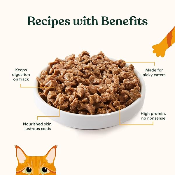 MADE BY NACHO PREMIUM MINCED WET CANNED CAT FOOD WITH HYDRATING BONE BROTH 5.5OZ (12 PACKS) (VARIETY PACK (TURKEY & TURKEY LIVER, CHICKEN & HERRING, AND SALMON & SOLE))