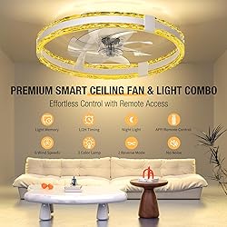 SKRFORM Ceiling Fans with Lights and