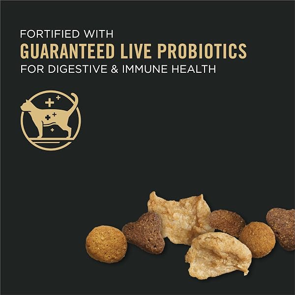 PURINA PRO PLAN WITH PROBIOTICS, HIGH PROTEIN DRY KITTEN FOOD, SHREDDED BLEND CHICKEN & RICE FORMULA – 5 LB. BAG