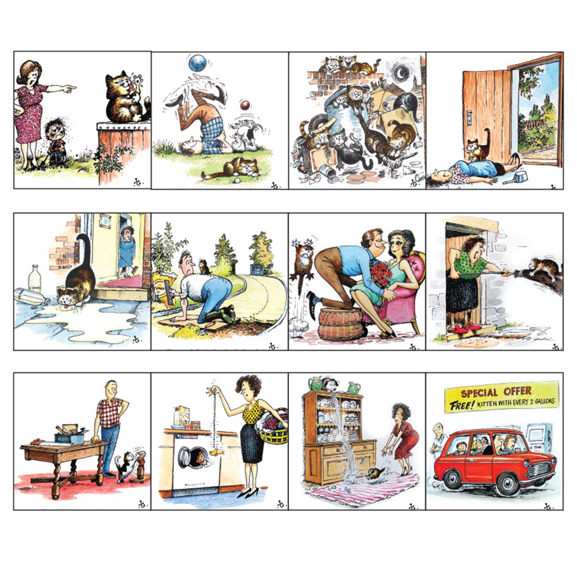 Thelwell Cat Greeting Card assorted pack of 12 feline cartoons