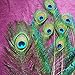 Fashionclub 100pcs Christmas Decor Natural Peacock Tail Eyes Feathers 8