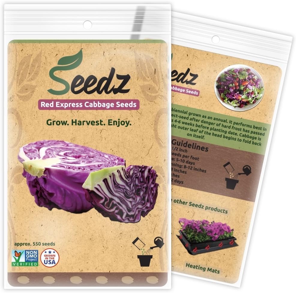 Organic Cabbage Seeds, APPR. 550, Red Express Cabbage, Heirloom Vegetable Seeds, Certified Organic, Non GMO, Non Hybrid, USA