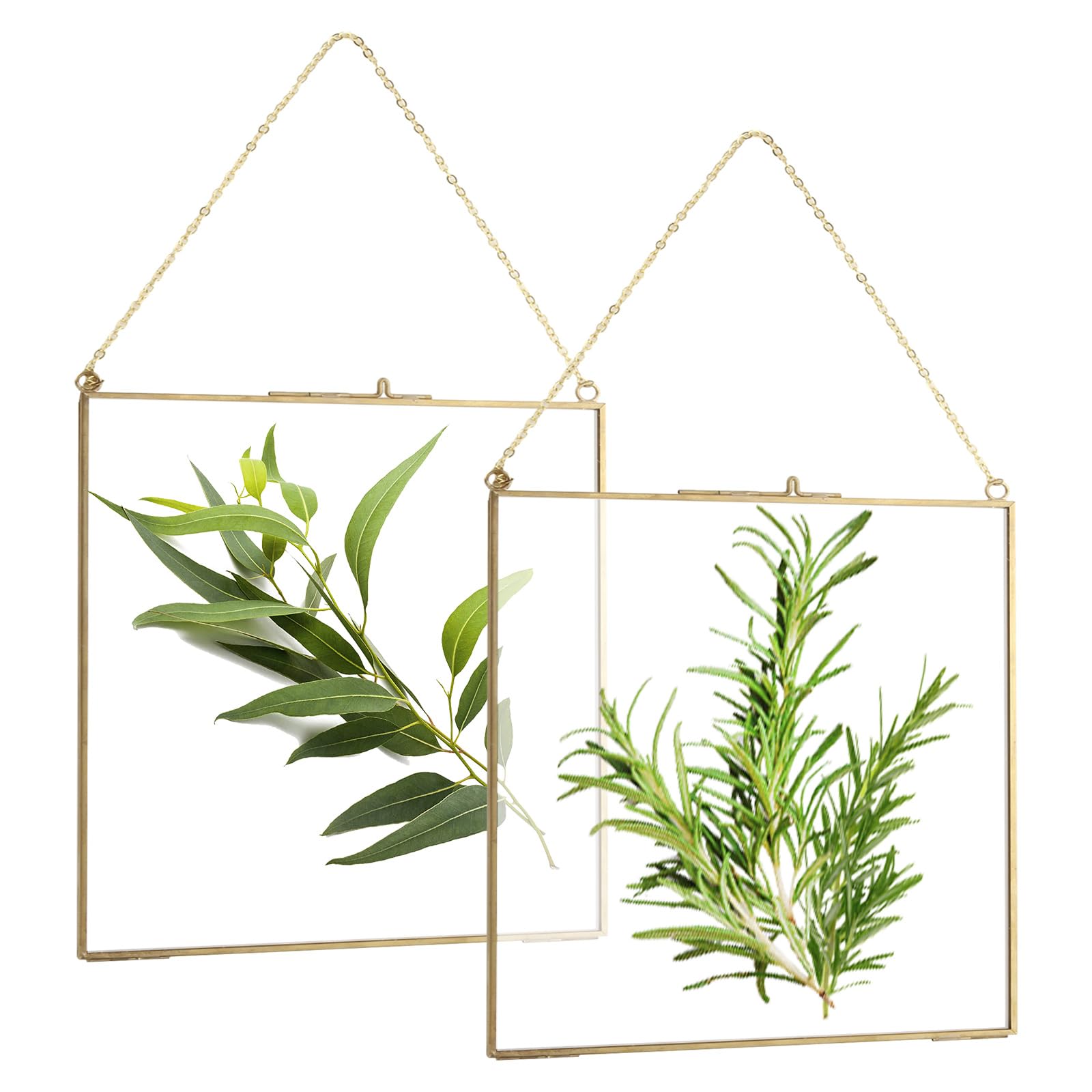 GBACHOOSE 2 Pcs Glass Gold Frames with Chain, 25 x 20cm Double Glass Frame for Pressed Flowers, Hanging Picture Frames Made of Copper Brass, Floating Picture Frame for Photo, Plants Specimen