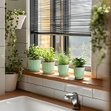 T4U 4 Pack 18cm Self Watering Plant Pots Indoor Green House Planters view 9
