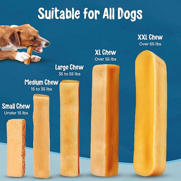 MAKALU DOG CHEW LARGE CHEWING STICKS FOR DOGS-HEALTHY YAK & COW MILK DOG TREATS FOR STRONG BONES & TEETH EASY TO DIGEST DOG CHEWS FOR AGGRESSIVE CHEWERS ODOR & MESS FREE BULLY STICKS(1 STICK PER PACK)