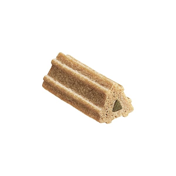 DENTALIFE ACTIVFRESH PACK OF 2 DOG CHEWS FOR SMALL DOGS, DENTAL CHEWS TO FRESHEN BREATH, CHICKEN FLAVOR, 13.5 OZ. EACH, 45 EACH/90 TOTAL – 45 CT. POUCH