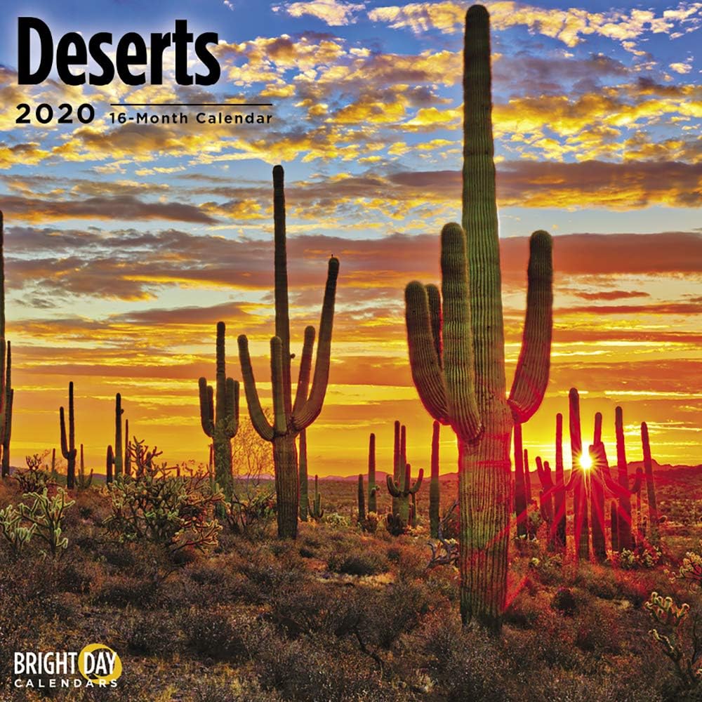 2020 Deserts Wall Calendar by Bright Day, 16 Month 12 x 12 Inch, Beautiful Landscape