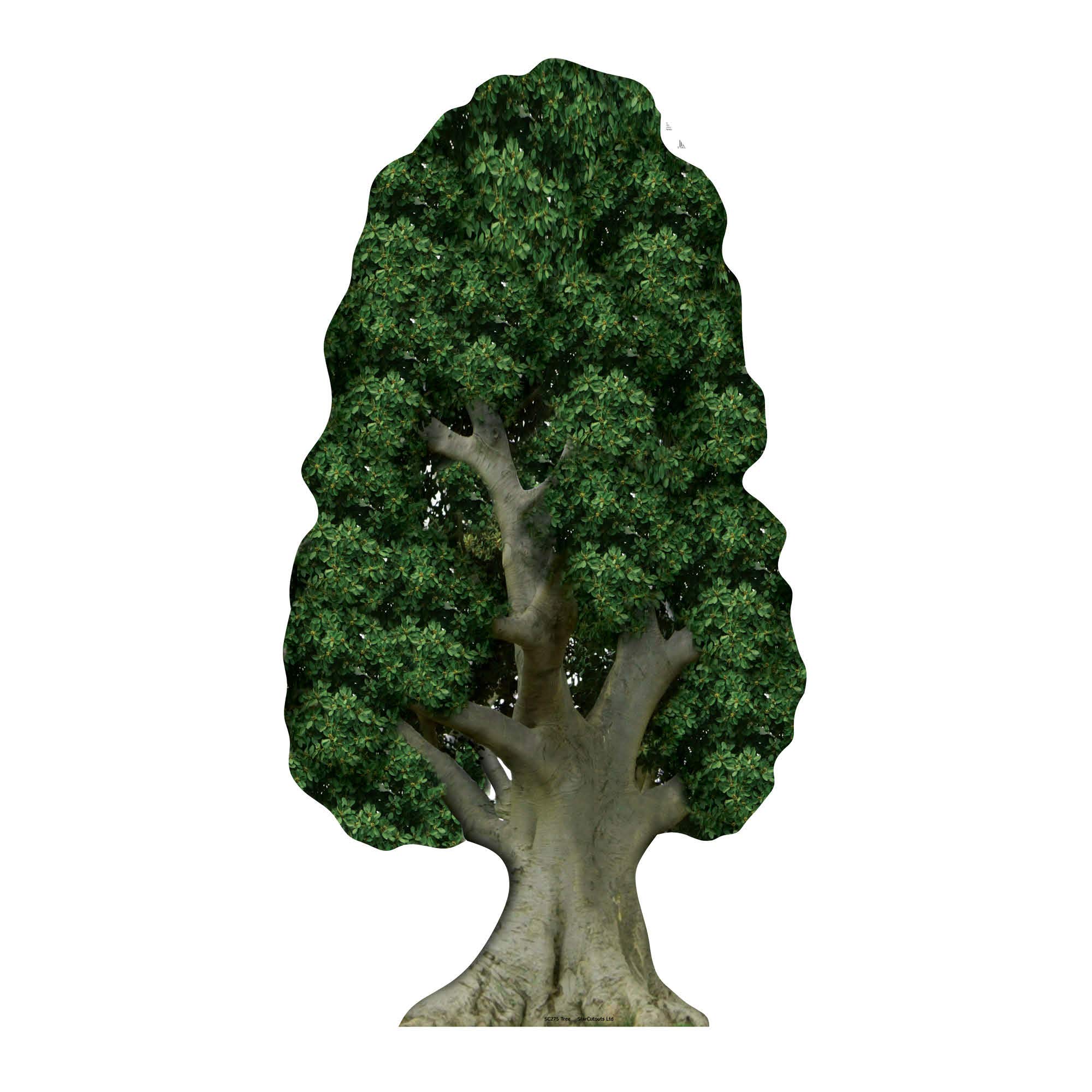 Star Cutouts Ltd Star SC275 Tree Cardboard Cutout Perfect for Nature Parties, The Stage and Displays 179cm Tall