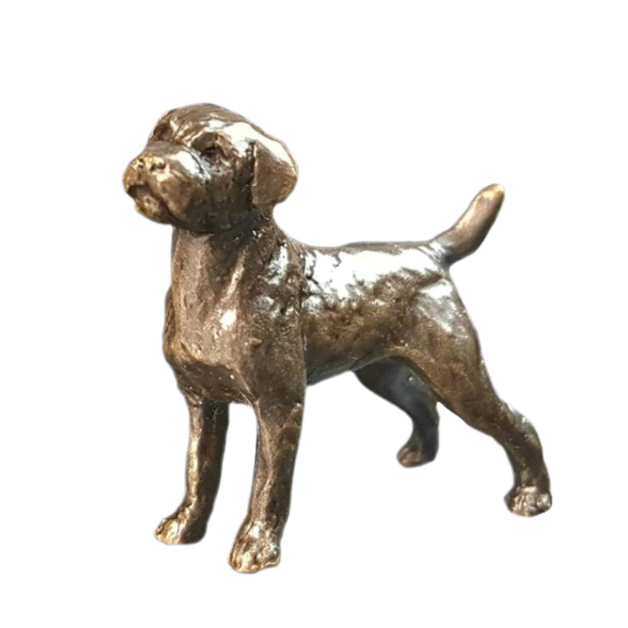 Marquise Jewellery Bronze Border Terrier - Bronze Miniature Figures - Butler & Peach.