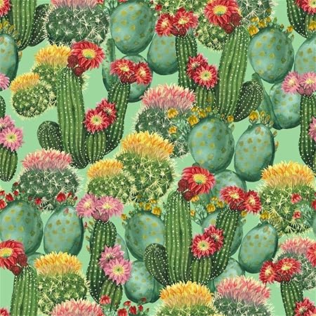 Edcott 6x6ft Aquarelle Thron Cactus Modele Photo Toile Belle Plantes Cactus Vert Plantes Fleurs Rose Pour Photographie Mariage Fete D Anniversaire Evenements Papier Peint Photo Booth Props Amazon Fr Photo Camescopes