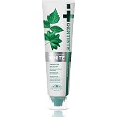Dentiste Premium Toothpaste for Fresh Breath and a Confident Smile, Natural Whitening Toothpaste for Coffee, Tea and Wine Stains, No Peroxide, 14 Botanical Extracts, Fluoride Free, 100g, Pack of 1