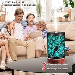 Essential Oils Diffuser,Aromatherapy Diffuser Gifts