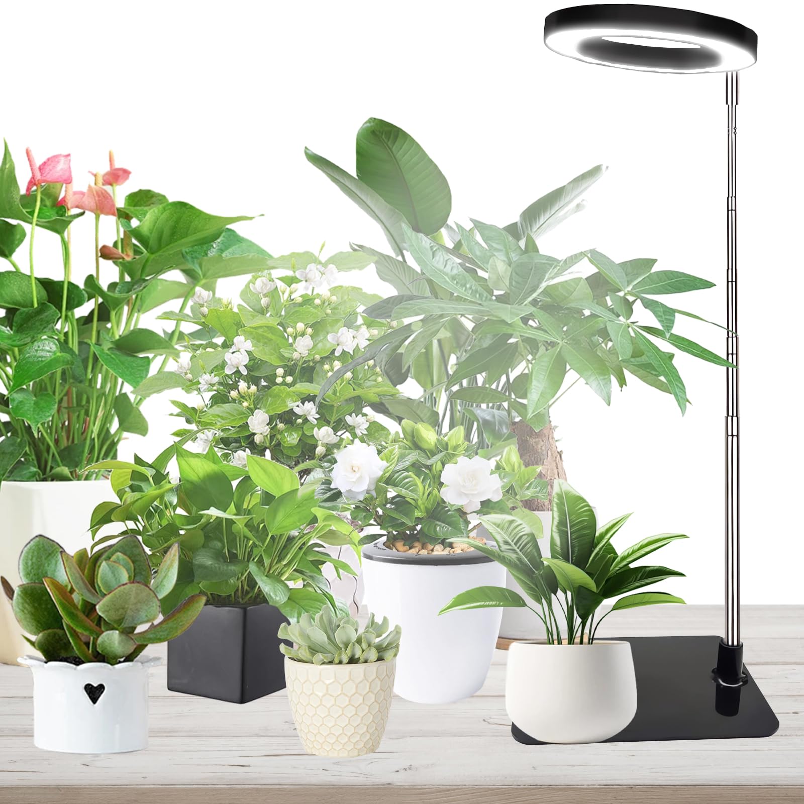 Plant Lights Growth Lamps,Plant Grow Lights Indoor,LED Grow Light,Plant Growing Lamps with Adjustable Telescopic Pole,2 Mounting Options,4Selectable Spectrums,with On/Off Timer 2/4/8H[Energy Class A]