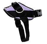 ShawnCo Essential Dog Harness, No-Pull Pet Vest
