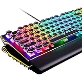 RK ROYAL KLUDGE S108 Typewriter Style Retro Mechanical Gaming Keyboard Wired with True RGB Backlit Collapsible Wrist Rest 108