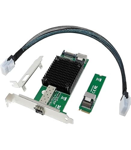 Amazon.com: 10Gb Network Card with Intel 82599 Chipset,OCP3.0 Dual