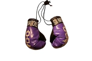 SIX Nations Iroquois Flag Mini Boxing Gloves..New