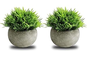 THE BLOOM TIMES 2 Pcs Small Fake Plants for Home Decor Indoor, Artificial Faux Potted Greenery for House Office Decorations