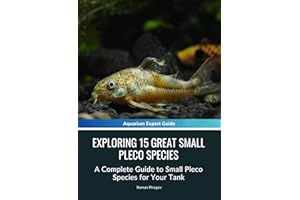 Exploring 15 Great Small Pleco Species: A Complete Guide to Small Pleco Species for Your Tank