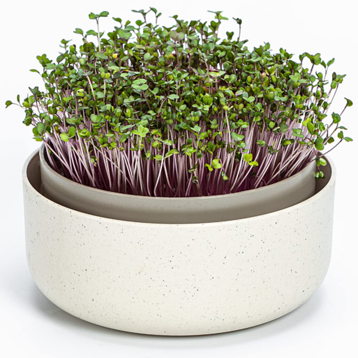 Urbalive Seed Sprouter Tray with Lid ø16 cm - Design Germination Tray for Growing Beans, Sprouts - Microgreens Growing Kit made of Plastic with Coffee Grounds