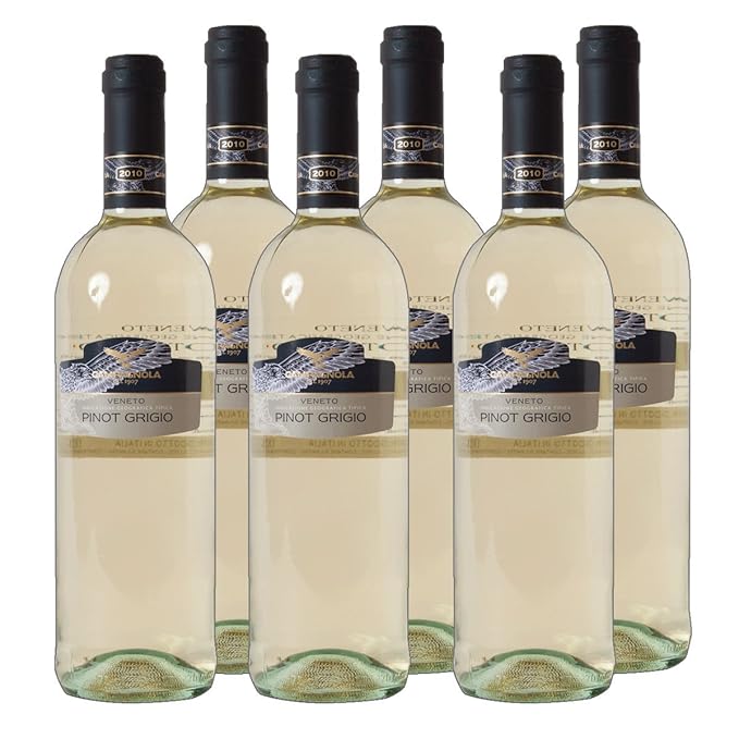 Pinot Grigio del Veneto IGT Weißwein Italien 2018 trocken (6x 0.75 l)