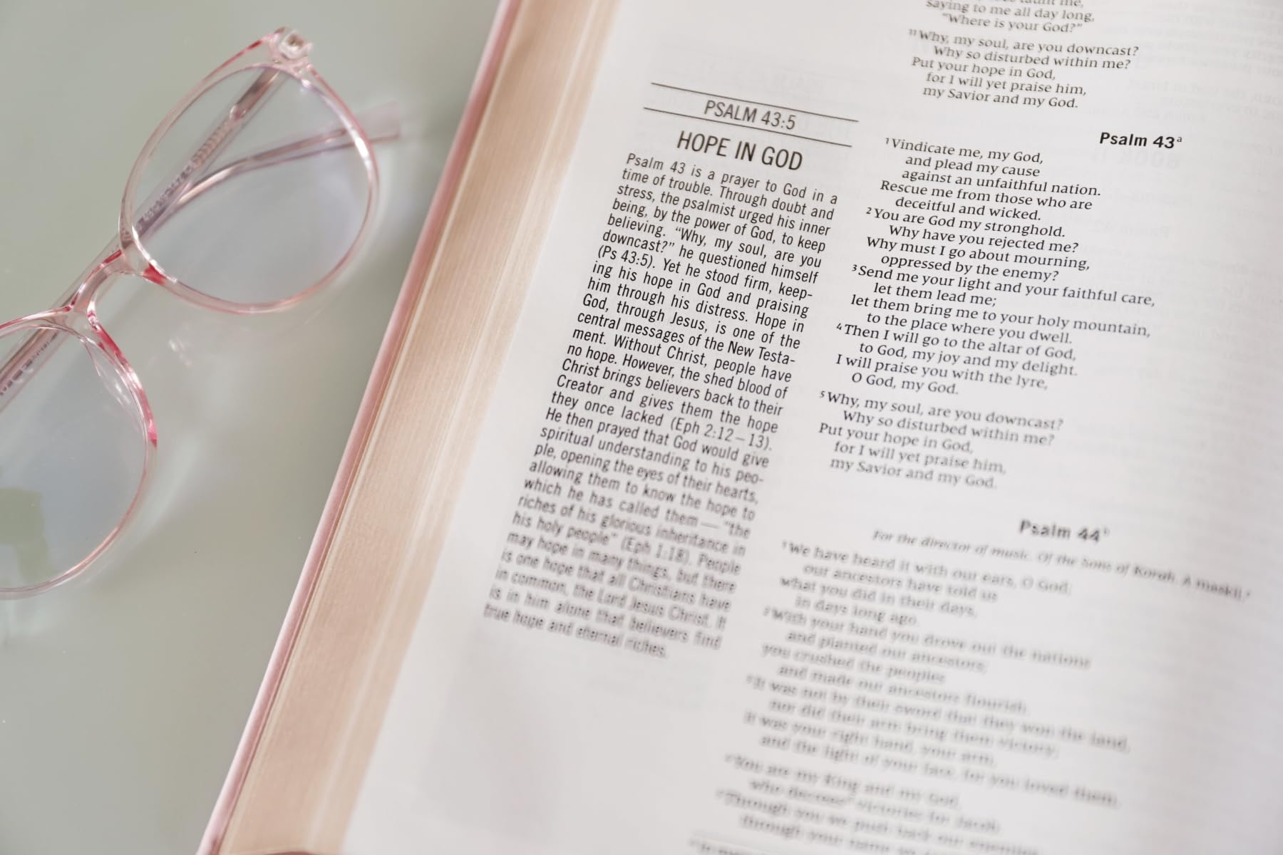 The Jesus Bible, NIV Edition, Leathersoft over Board, Pink, Comfort Print The Jesus Bible, NIV Edition, Leathersoft over Board, Pink, Comfort Print Hardcover