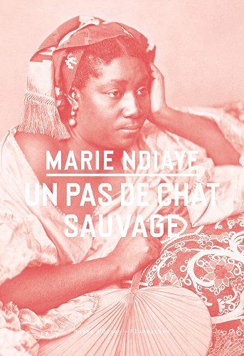 Download Un pas de chat sauvage (Art) PDF