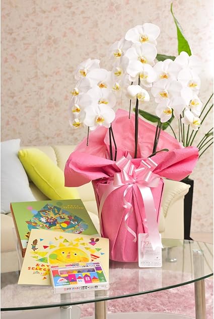 Amazon 花とギフトのセット 胡蝶蘭 大輪3本立とぬり絵 クーピー付きベビー 幼児用カタログギフト おめでとうセレクション たいよう ビジネスフラワー 観葉植物 通販