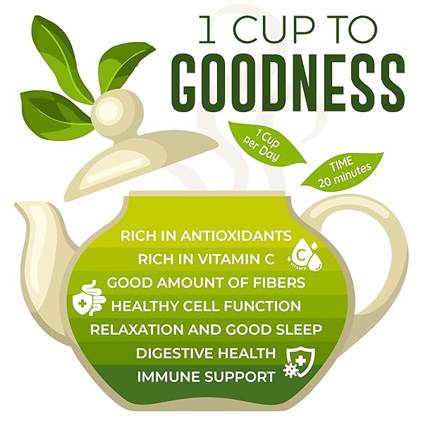 SOURSOP GRAVIOLA DRIED LEAVES TEA, 250+ GUANABANA LEAVES, NO GLUTEN, WILDCRAFTED, HOJA GUANABANA, LOOSE LEAF HERBAL TEA, PRECUT, RELAXING, GOOD SLEEP