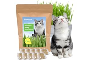 PLANTMEW Cat Grass Seeds for Indoor Cats - Quick & Easy to Grow, Ready to Eat in 7 Days, Promotes Digestion & Reduces Hairballs, 100% Non-GMO Heirloom 8oz Wheat Seeds