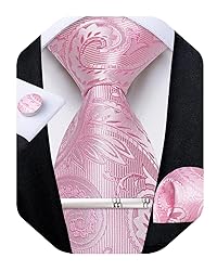 DiBanGu Silk Paisley Ties for Men Woven Necktie and