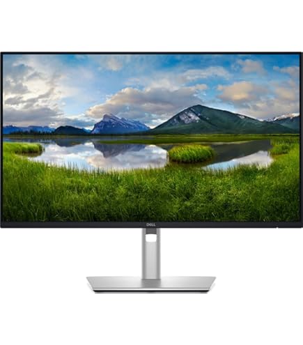 Amazon.com: Dell P2423D 23.8