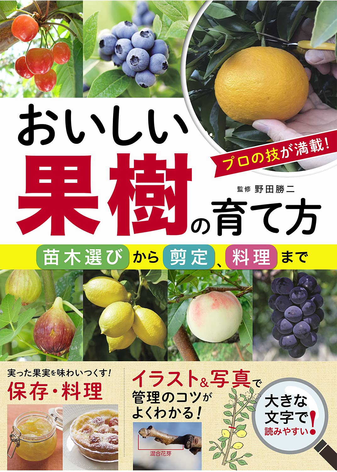 おいしい果樹の育て方 苗木選びから剪定 料理まで 野田勝二 本 通販 Amazon
