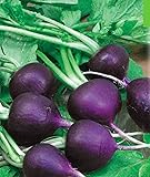 Rare Seeds Radish Malaha-Malaga Organic Russian Heirloom Vegetable Seed