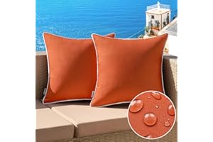 MIULEE Pack of 2 Outdoor Waterproof Pillow Covers Fall Decorative Farmhouse Throw Pillow Covers Square Solid Color Couch Pillow Covers for Patio Tent Bed Sofa Living Room 18x18 Inch Burnt Orange