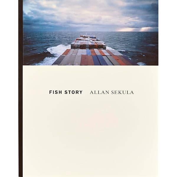 Photography against the grain: Essays and photo works, 1973-1983