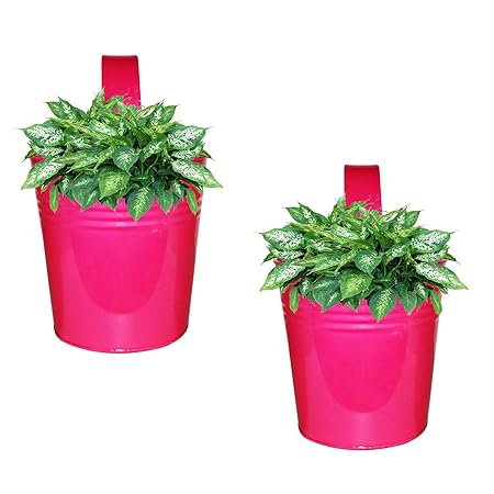 Decorscent Metal Round Galvanized Railing Planter (Set of 2 Pcs) - Pink