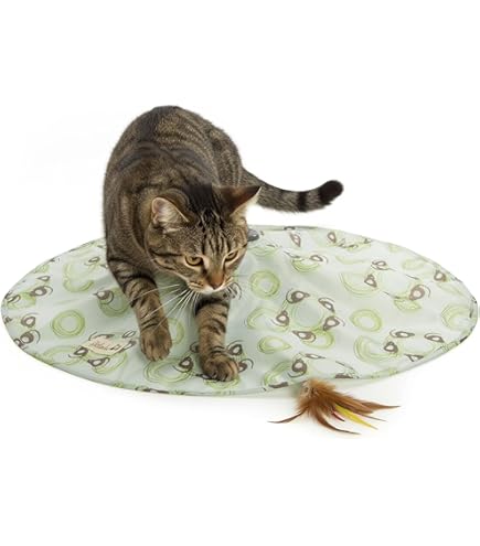 SmartyKat Instincts Wild Wand Teaser Interactive Automatic Cat Toy