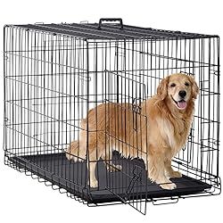 BestPet 48 Inch Dog Crates for Large Dogs Folding