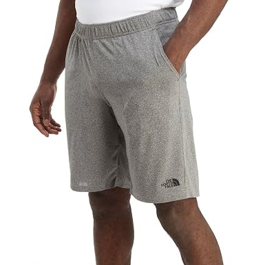 The North Face Mens Reactor Poly Shorts 