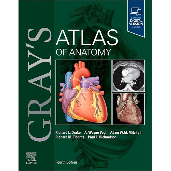 TOPOGRAPHICAL ATLAS OF HUMAN ANATOMY 4冊 TOPOGRAPHICAL ATLAS OF HUMAN ANATOMY 4冊 71m69nfU2ZL._UF350