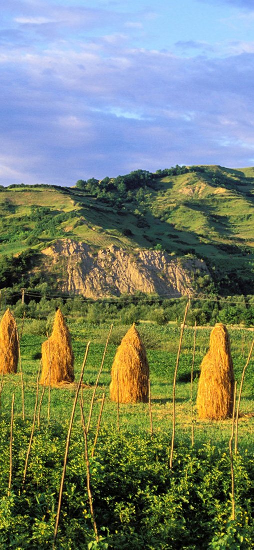 PeelitStickit, Beautiful Nature Wall Murals, ID-0983, vinyl