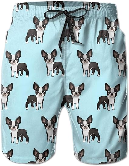 Cute Boston Terrier Ropa de Playa para Hombre, bañador de Vacaciones de