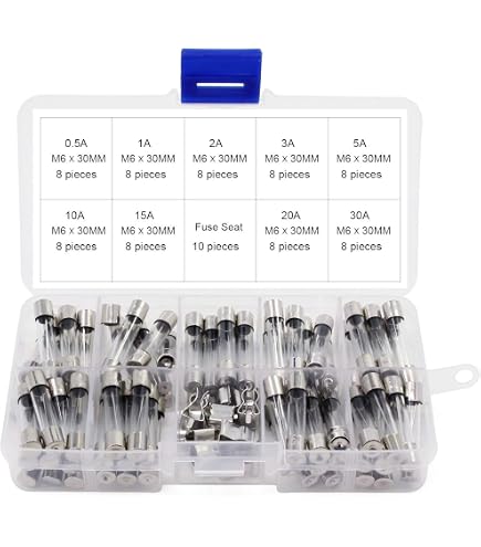 Lot De 175 Fusibles Auto Rapides 5x20mm En Verre - Professionnel - Marque FULARR/QitinDasen