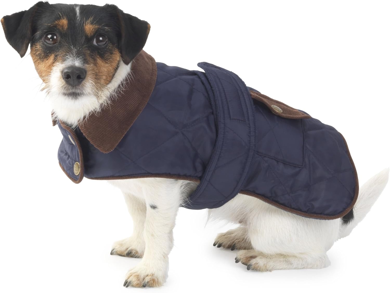 House of Paws Waterproof Quilted Jacket, Small, Navy Amazon.co.uk Pet Supplies