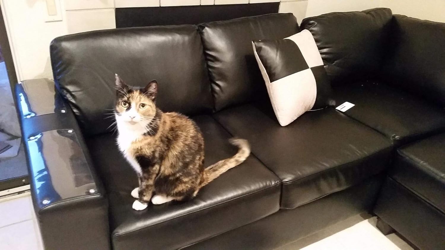 Come Salvare Un Divano In Pelle Rovinato Ridipingendolo Casa Organizzata