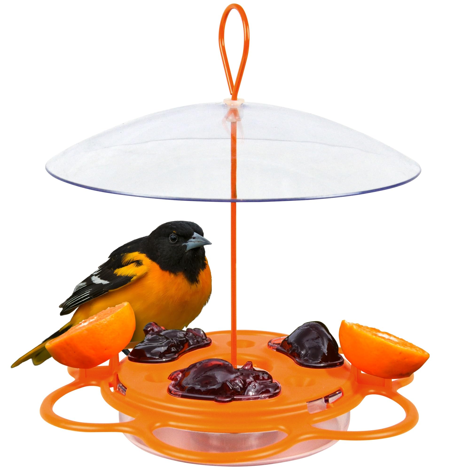 Photo 1 of Nature's Way OFP1 All-in-One Oriole Buffet Bird Feeder, Orange